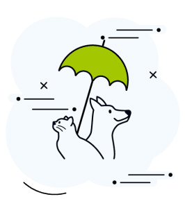 Icone avec un chien et un chat protégé sous un parapluie